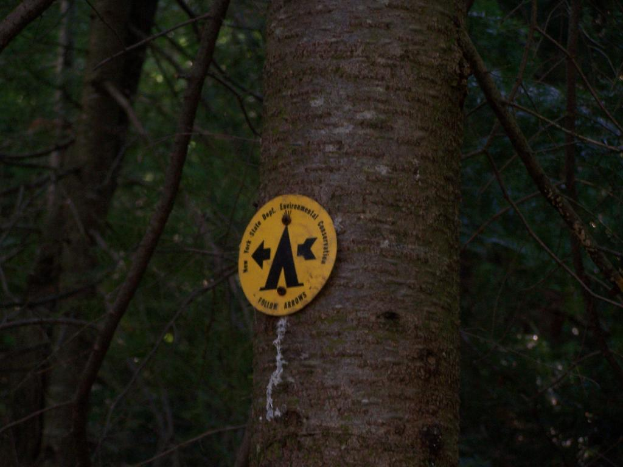 Ein Baum mit einer Warnschild daran, umgeben von vielen anderen Bäumen in einem Waldgebiet.