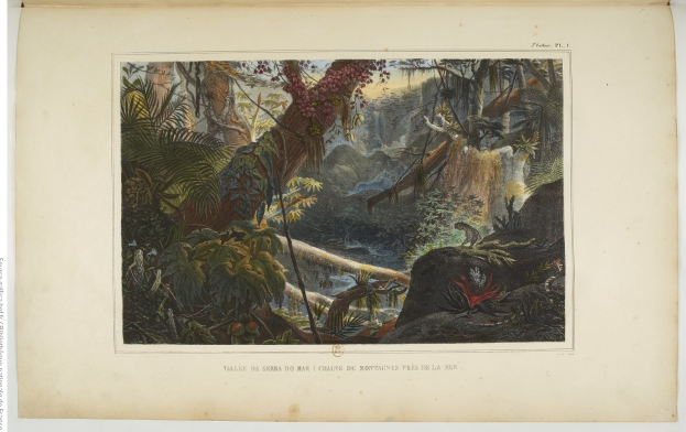 Ein offenes Buch mit einer Malerei eines üppigen Dschungels mit Bäumen, Pflanzen, Felsen und einem Wasserfall, mit Text unten.