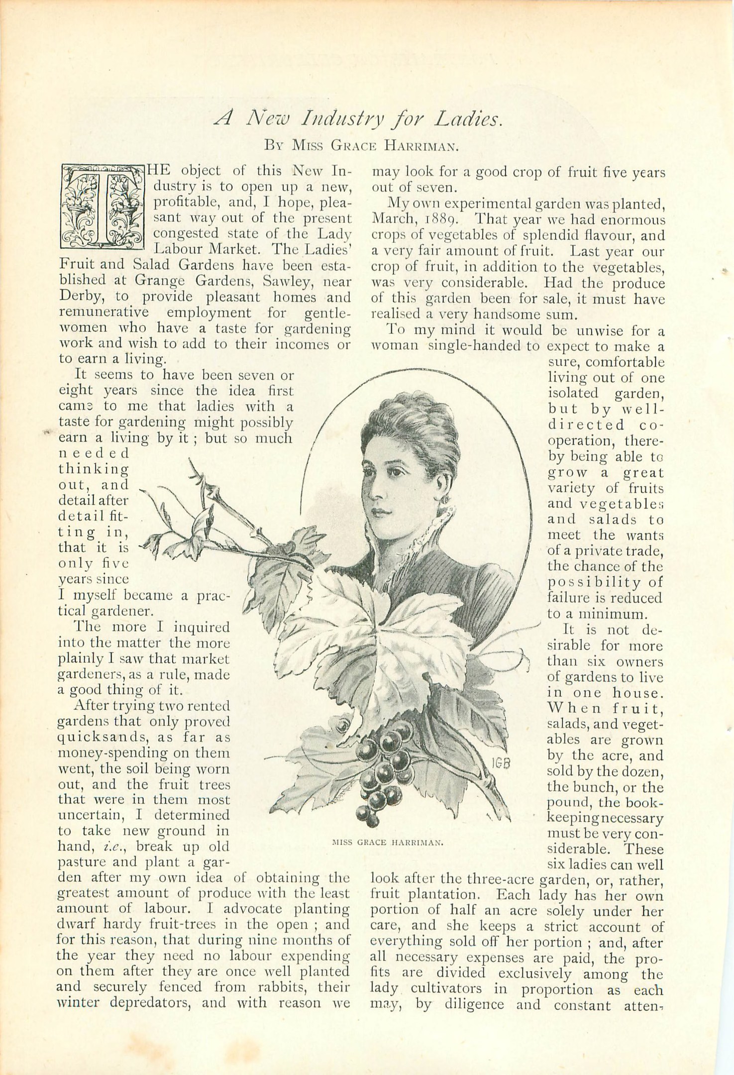 Offenes Buch mit einer Illustration eines Frauenkopfs, umgeben von Blättern und Früchten, mit dem Text "Eine neue Branche für Damen"