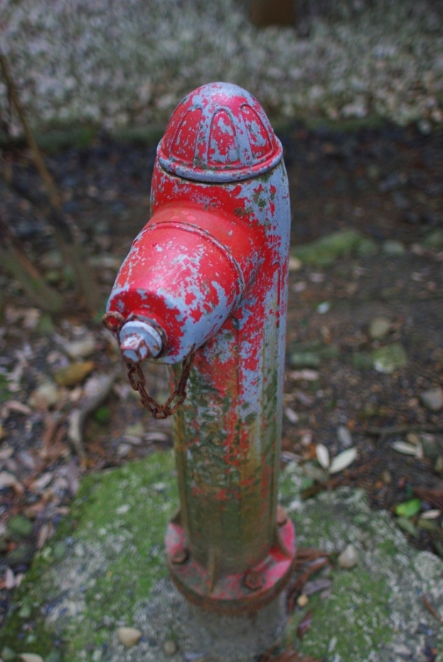 Ein Nahaufnahme eines Wasserrohrs.