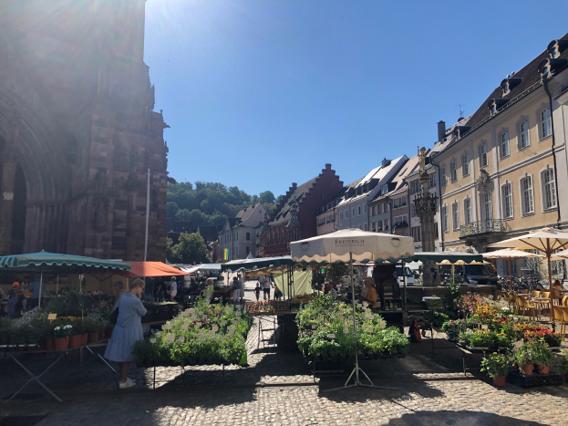 Ein lebendiger Markt im alten Stadtkern von Heidelberg mit Menschen, Tischen voller Blumentöpfe, Schirmen, Gebäuden, Bäumen und einem klaren blauen Himmel.