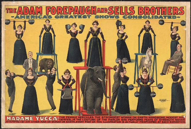 Plakat für Adam Forepaugh und Sells Brothers Circus mit Performern auf Hockern, einem Elefanten und Werbetext.