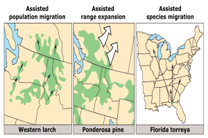 Ein Plakat mit einer U.S.-Karte, auf der verschiedene Regionen für Arten der unterstützten Bev├Âlkerungswanderung markiert sind, mit begleitendem Text.