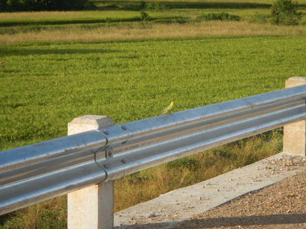 Metallschutzplanken an einer Straßenböschung neben einem grünen Feld mit Bäumen und Pflanzen im Hintergrund.
