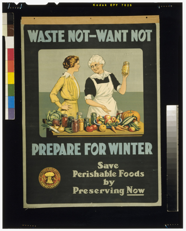 Plakat mit zwei Frauen vor einem Tisch mit Gemüse und Flaschen, Text lautet "Verschwende nicht - Bereite dich auf den Winter vor - Bewahre verderbliche Lebensmittel jetzt auf."