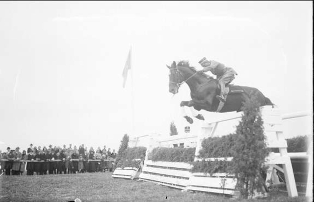 Schwarzes und weißes Foto eines Pferdes und Reiters, die über ein Hindernis springen, bei den Royal Ascot Horse Trials 1953, mit Zuschauern auf der linken Seite, einer Fahne im Hintergrund und Gras unten.