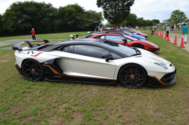 Ein Lamborghini Aventador LP700-4 Superveloce auf dem Goodwood Festival of Speed umgeben von Zuschauern und Verkehrskegeln auf einer grünen Wiese mit Bäumen und einem bewölkten Himmel im Hintergrund.