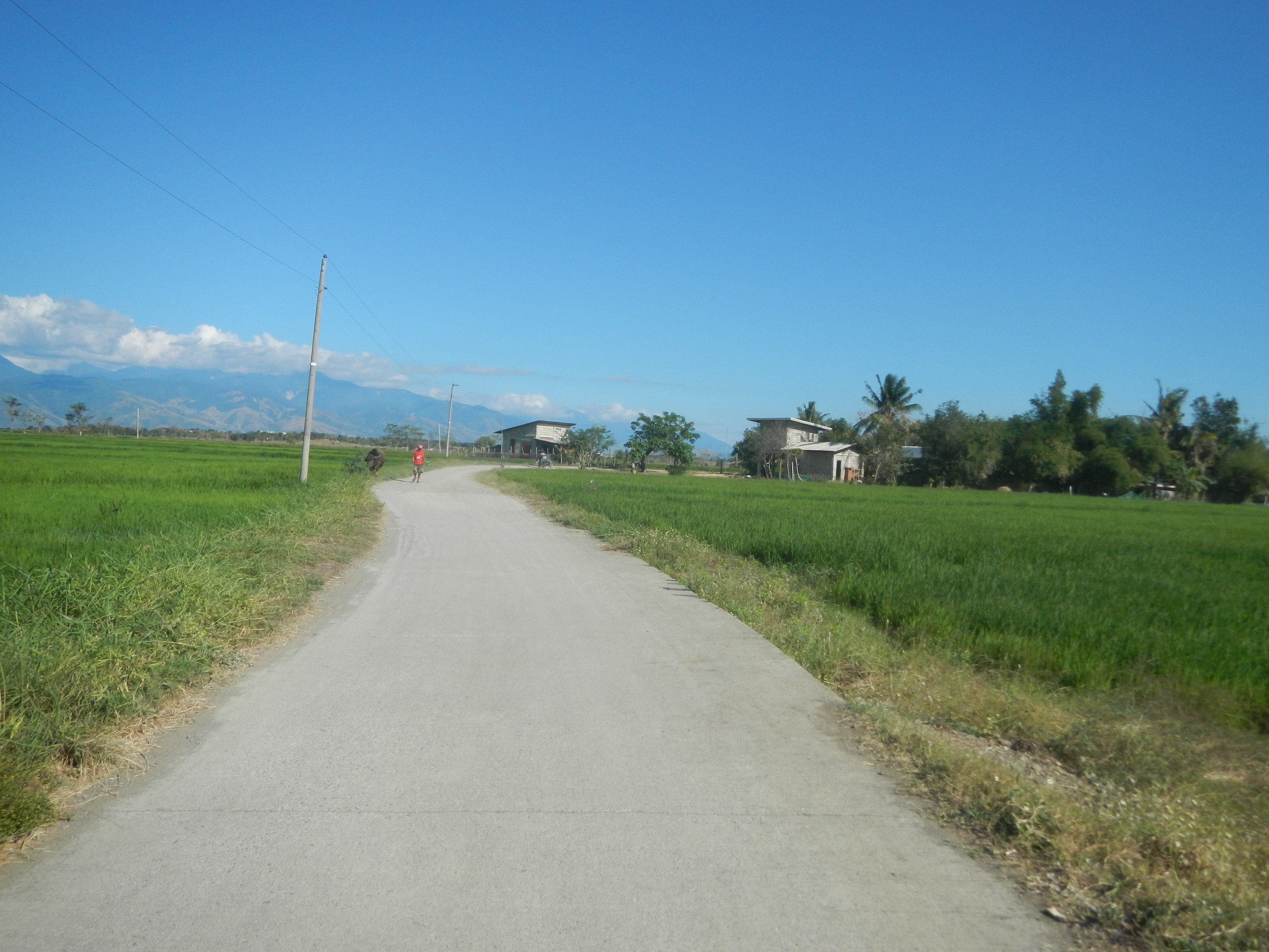 Schotterstraße, die durch ein grünes Feld mit Fahrradfahrern führt, gesäumt von Pflanzen und Gras, führt zu einem Strommast, Häusern, Bäumen, Hügeln und einem bewölkten Himmel.