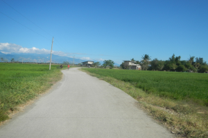 Schotterstraße, die durch ein grünes Feld mit Fahrradfahrern führt, gesäumt von Pflanzen und Gras, führt zu einem Strommast, Häusern, Bäumen, Hügeln und einem bewölkten Himmel.
