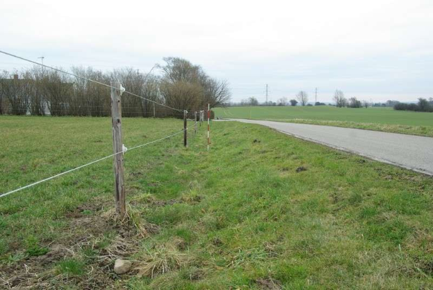 Grünes Feld mit einem zentralen Zaun, umgeben von Bäumen und Pfählen, eine Straße im Hintergrund und ein klarer blauer Himmel, gelegen auf einem kommerziellen Grundstück zum Verkauf in St Marys Road, St Mary's, St Margaret's, Swindon, Wiltshire.