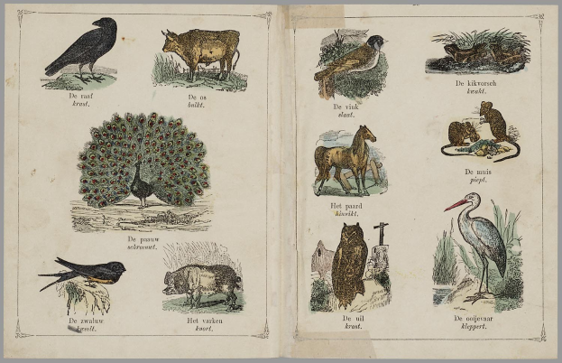 Ein aufgeschlagenes Buch mit Abbildungen verschiedener Tiere, Vögel und Pflanzen, die in den Niederlanden heimisch sind, sowie Text.