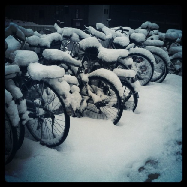 Mehrere Fahrr√§der stehen auf einem schneebedeckten Boden, auch die Fahrr√§der sind mit Schnee bedeckt.