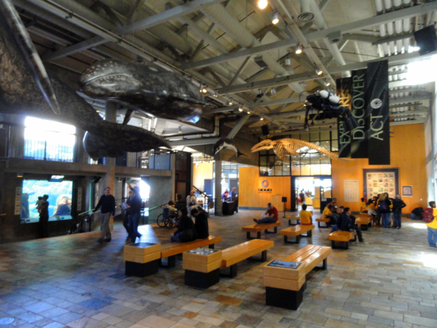 Ein großer Raum mit zahlreichen auf Bänken sitzenden und einigen stehenden Personen, mit hängenden Bannern, Deckenleuchten, einem Bildschirm links und verschiedenen Gegenständen im Hintergrund, der an ein Museums Setting erinnert.