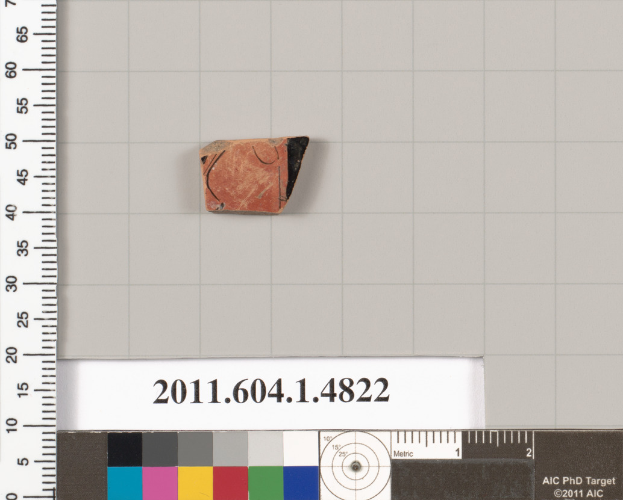 Ein kleiner Tonklumpen wird neben einer Lineal mit Zahlen und Text auf einer weißen Oberfläche plaziert, mit Farbmustern unten im Bild.