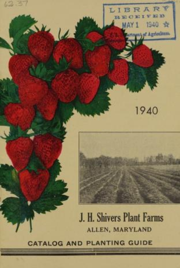 Titelbild eines 1940er Katalogs und Anbauhandbuchs namens "J.H. Shivers Plant Farms Catalog and Planting Guide 1940" mit einer Illustration von Erdbeeren.