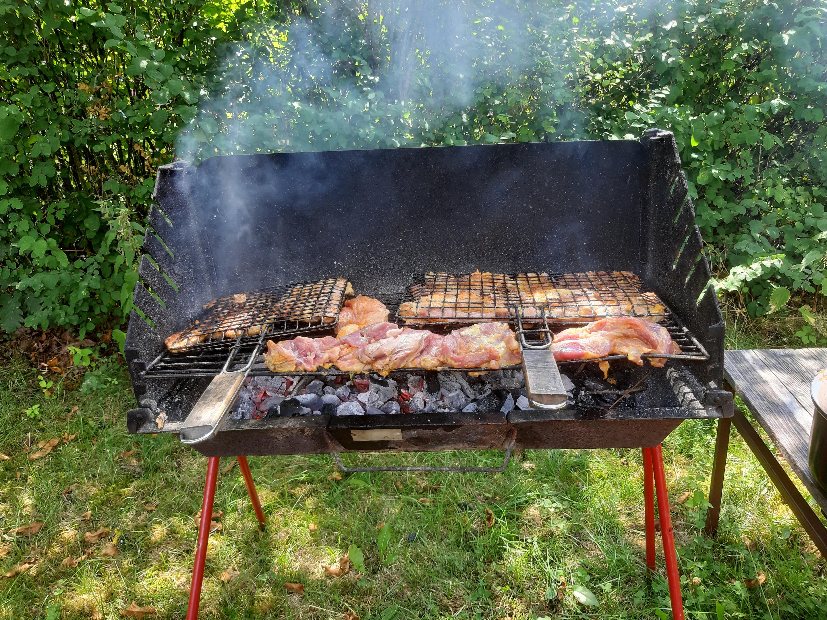 Grill mit bratendem Fleisch auf der Wiese, umgeben von Bäumen und einem Tisch mit einer Schüssel und anderen Gegenständen auf der rechten Seite.