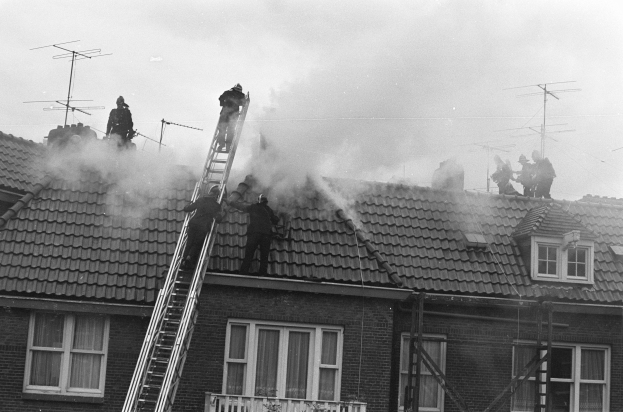 FW-BO: Feuerwehrleute retten hilfloses Kätzchen 'Loki' vom Dach eines Wohnhauses