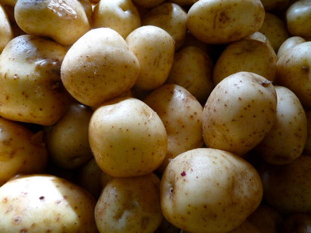 Numerous potatoes are displayed prominently in the foreground.
