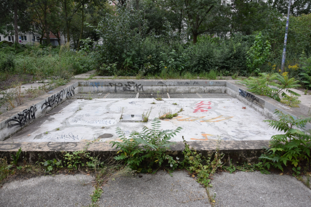 Verlassener Swimmingpool mit Graffiti bedeckt, umgeben von Bäumen und Pflanzen, mit einem Pfahl und Gebäuden im Hintergrund unter einem klaren blauen Himmel.