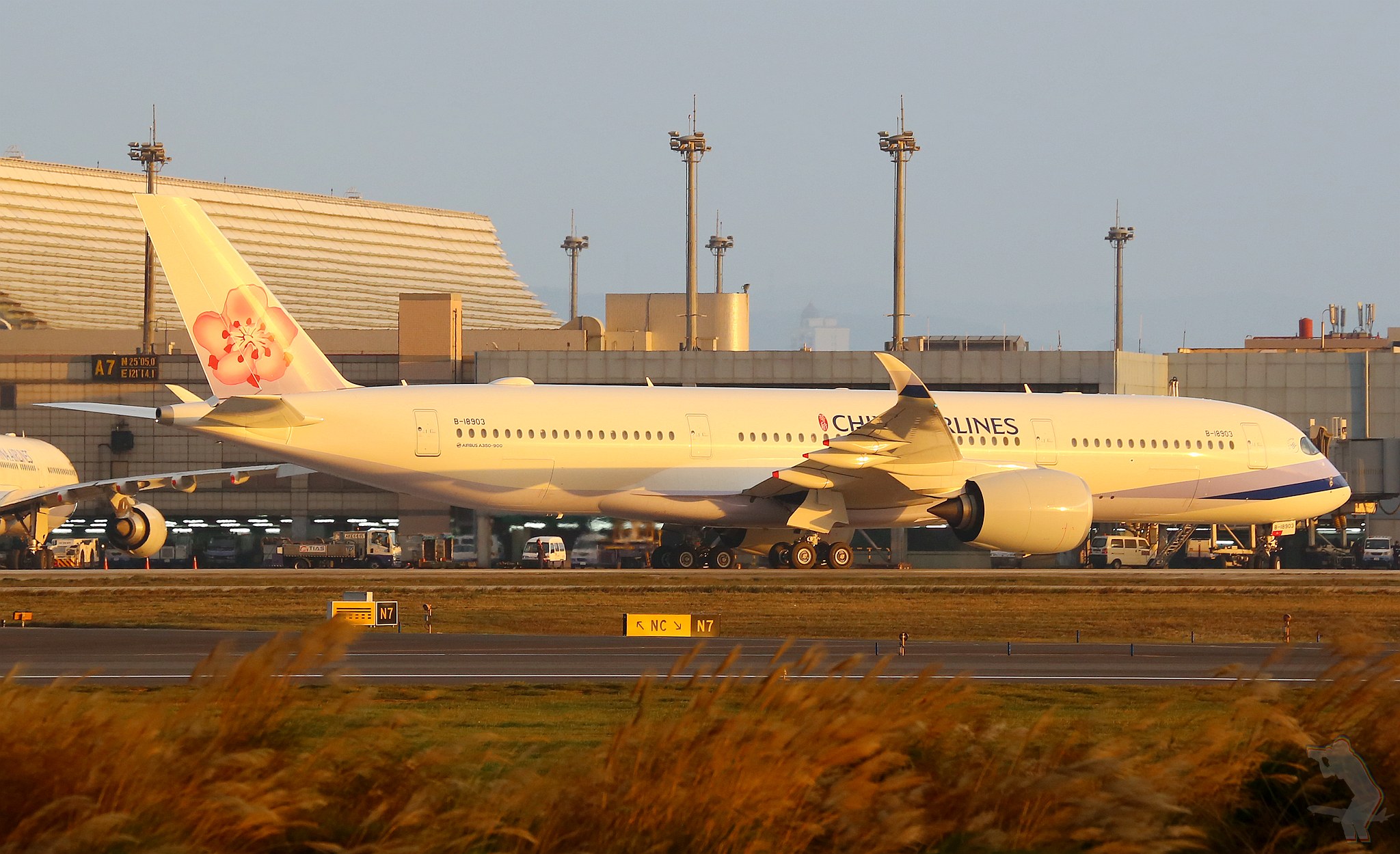 Ein großes Passagierflugzeug auf einer Flughafenpiste mit Gras und Pflanzen in der Nähe, Fahrzeuge und Gebäude im Hintergrund unter einem klaren blauen Himmel.