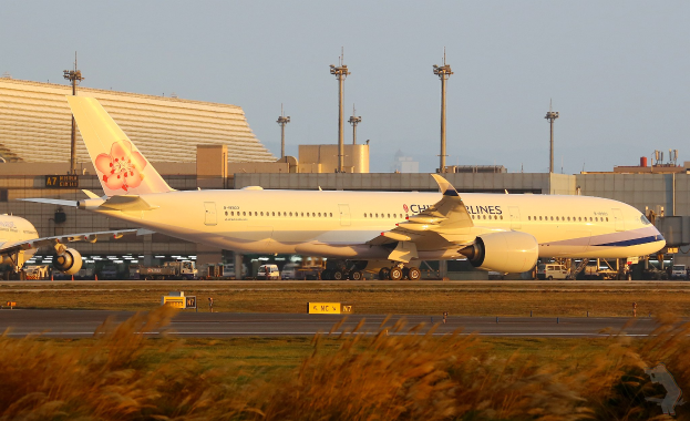 Ein großes Passagierflugzeug auf einer Flughafenpiste mit Gras und Pflanzen in der Nähe, Fahrzeuge und Gebäude im Hintergrund unter einem klaren blauen Himmel.