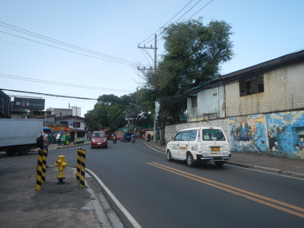 Eine Stadtstraße mit fahrenden Autos, einem Feuerhydranten, Pollern, Gebäuden mit Fenstern, Bäumen, Strommasten mit Kabeln und einem sichtbaren Himmel.
