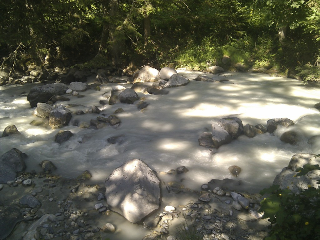 Eine nat├╝rliche Landschaft mit Wasser, das ├╝ber Felsen flie├čt, umgeben von verschiedenen Felsen, Pflanzen und B├Ąumen.