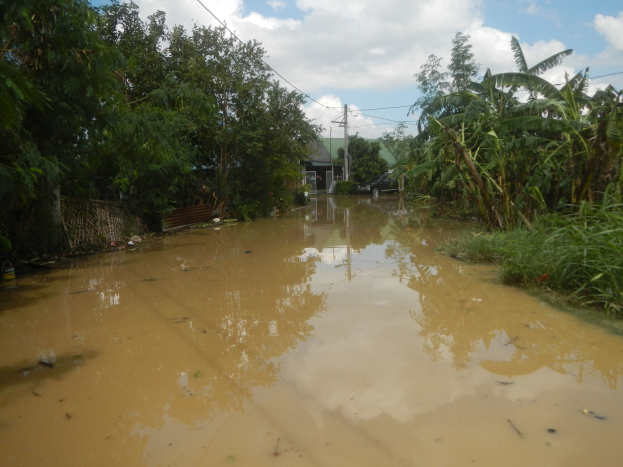 Eine überflutete Landstraße mit Wasser, das die Straße bedeckt, Pflanzen und Bäumen auf beiden Seiten und einem rechts geparkten Auto, mit Häusern, Strommasten und Drähten im Hintergrund unter einem bewölkten Himmel.