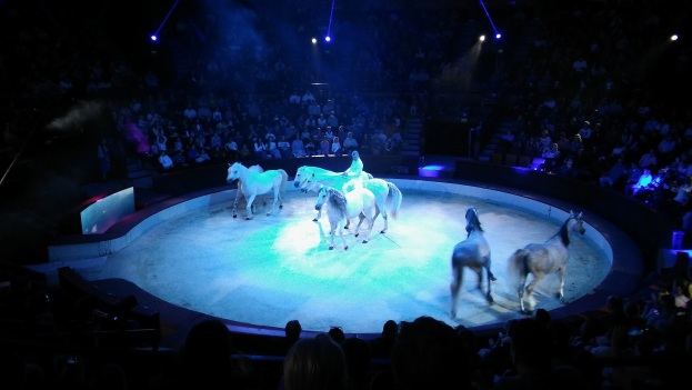 Eine Gruppe von Menschen, die auf Pferden auf einer Bühne reiten, mit einem Publikum, das zusieht, unter Scheinwerferlicht.
