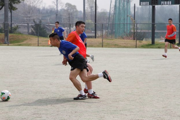 Eine Gruppe von Spielern ist beim Fußballspielen auf einem von einem Maschendrahtzaun umgebenen Feld zu sehen, mit Bäumen, Leitern und Strommasten auf der anderen Seite.