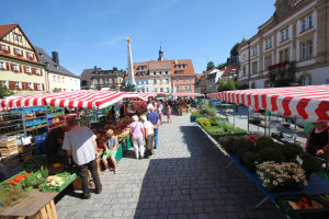 Ein belebter Markt im alten Stadtkern von Heidelberg mit Menschen, die spazieren gehen, auf Bänken sitzen und in der Nähe von Zelten stehen, mit Gemüsekörben auf Tischen, Gebäuden mit Fenstern, Bäumen und einem klaren blauen Himmel im Hintergrund.